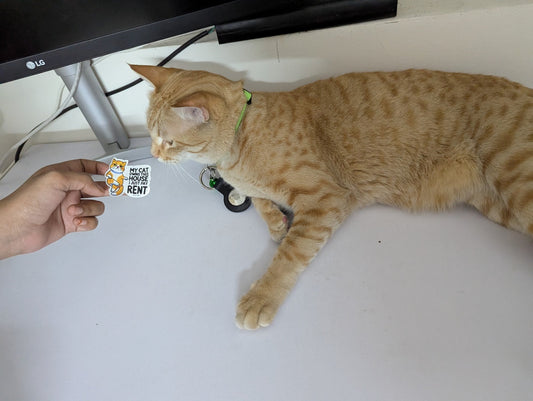 My cat own's the house, I just pay rent sticker!