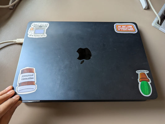 Plant sticker " low maintainence" sticker for Plant Parents!